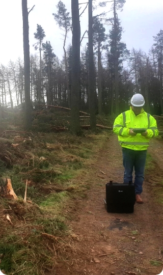 Drones in Windblown Forestry