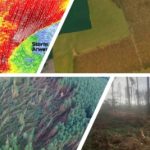 Windblown forestry, storm Arwen, and Drone Technology