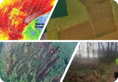 Windblown forestry, storm Arwen, and Drone Technology