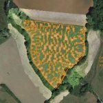 Seed Drill Malfunction Drones Identify and Quantify
