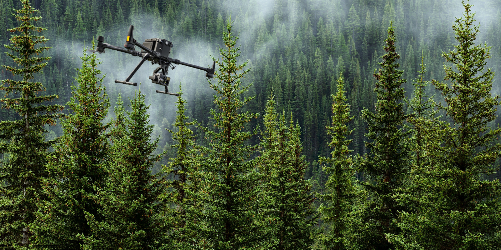 Drones in Forestry