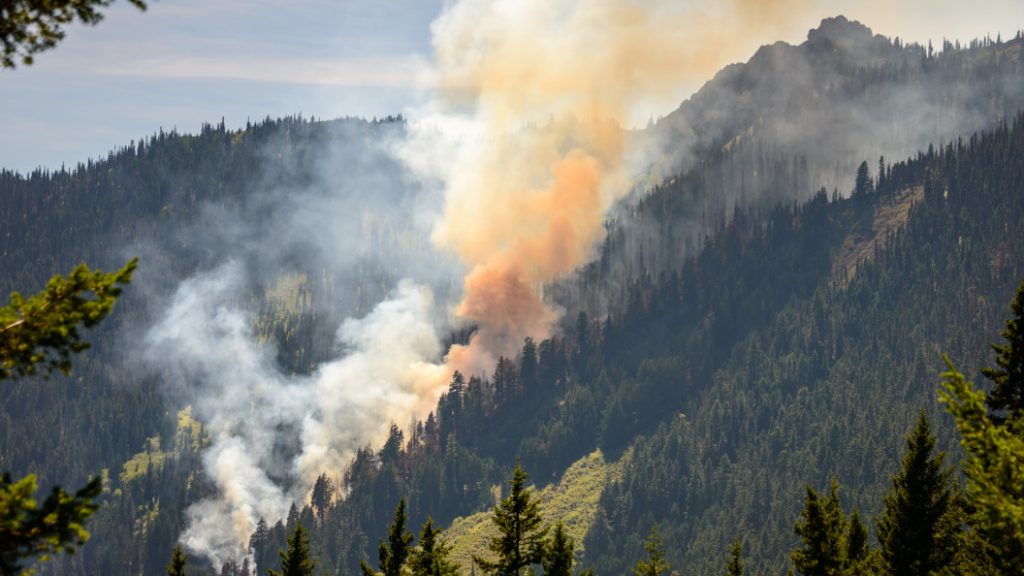 Drones in forestry fire