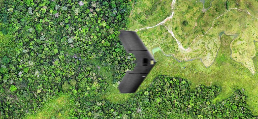 drones in forestry fixed wing