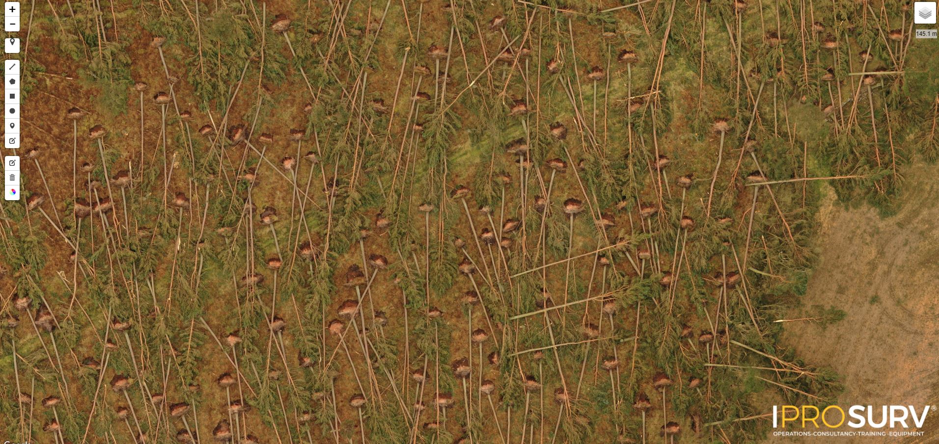 Expert Drone Surveys for Post-Storm Windblown Forestry - Iprosurv Drone ...